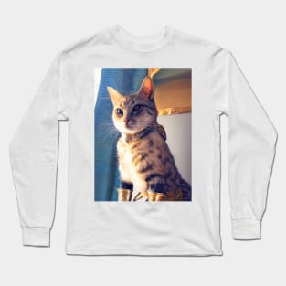 Golden armor knight cat: Iron Fists Long Sleeve T-Shirt